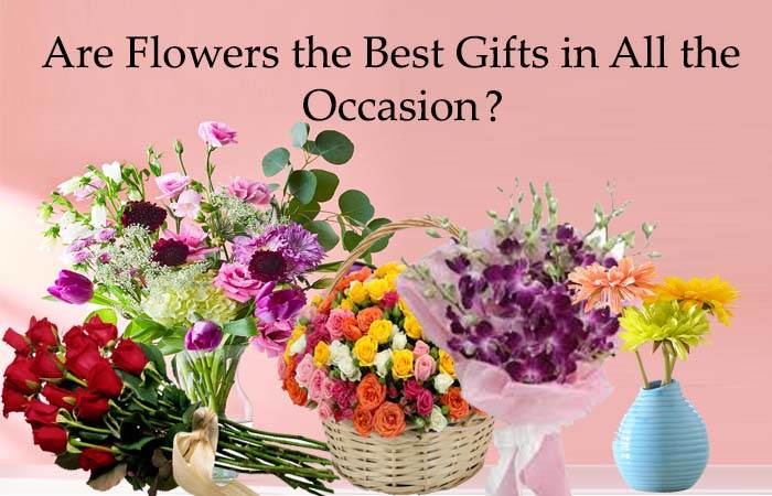 Are Flowers the Best Gifts in All the Occasion?