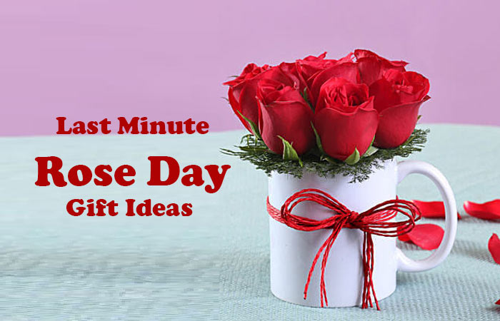 Last Minute Rose Day Gift Ideas