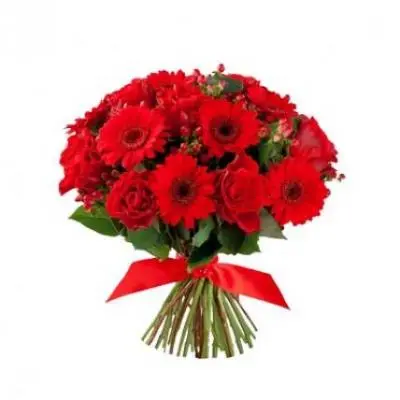 Red Roses & Red Gerbera