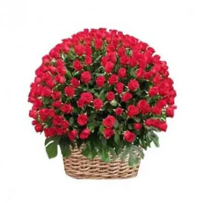 500 Red Roses Basket