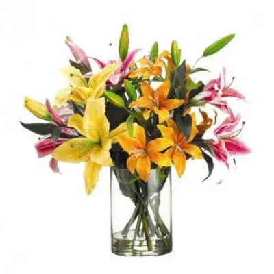 Mixed Lily Vase