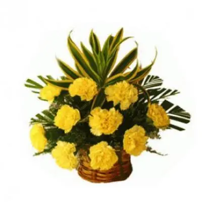 Yellow Carnation Basket
