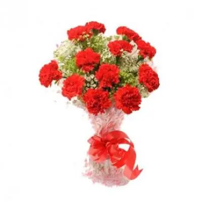 Red Carnation Bouquet