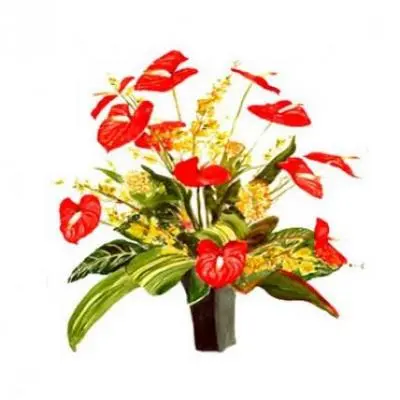 Anthurium Vase