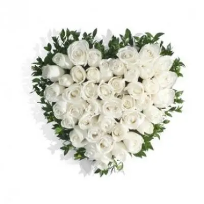 White Roses Heart