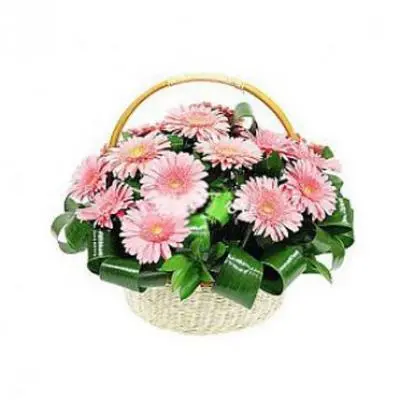 Pink Gerbera Basket