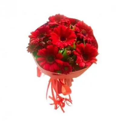 Red Gerbera Bouquet