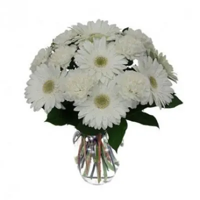 White Gerbera Vase