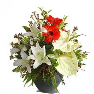 Anthurium, Gerbera & Lily Arrangement