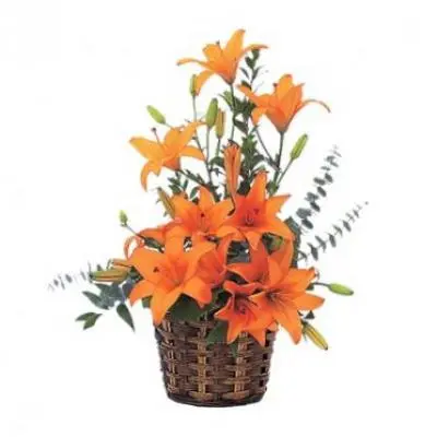 Orange Lily Basket