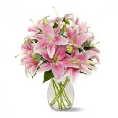 Pink Lily Vase