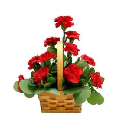 Red Carnation Basket