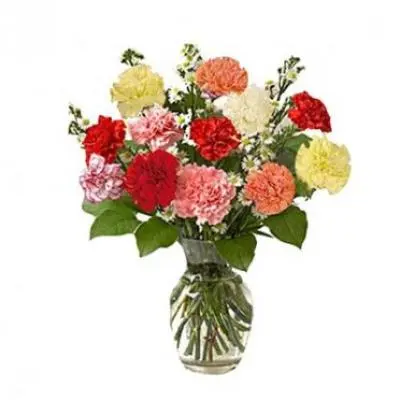 Mix Carnation Vase