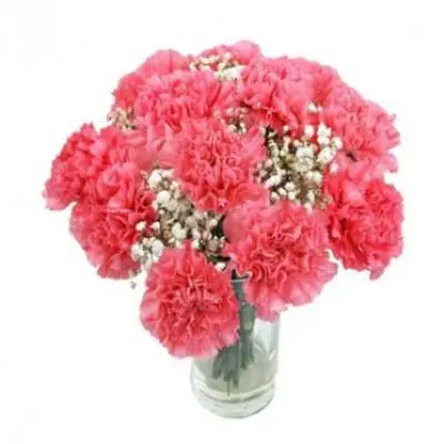 Pink Carnation Vase
