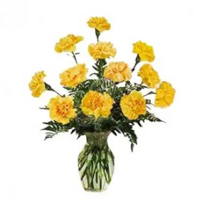 Yellow Carnation Vase