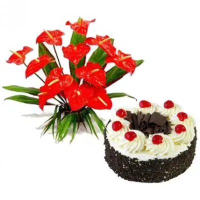 Anthurium With Black Forest Cake