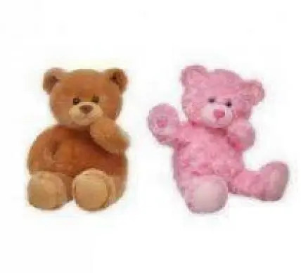 Teddy Pair Teddy Pair