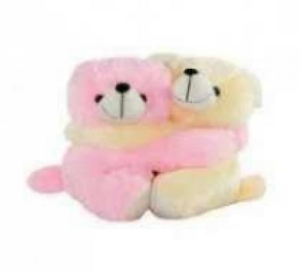 Hugging Teddy Bear Hugging Teddy Bear