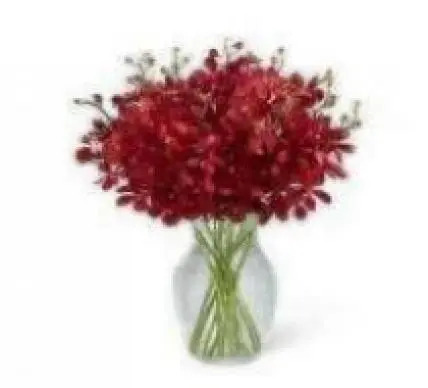 Red Orchid Vase Red Orchid Vase