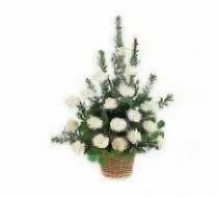 White Carnation Basket White Carnation Basket