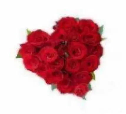 Red Roses Heart Red Roses Heart