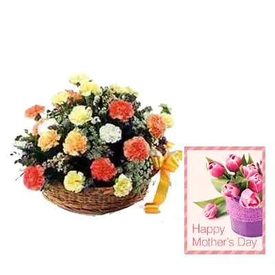 Mixed Carnation Basket with Mothers Day Card