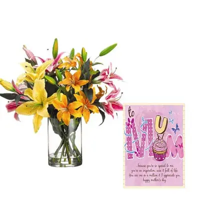 Mixed Lily Vase with Mothers Day Card