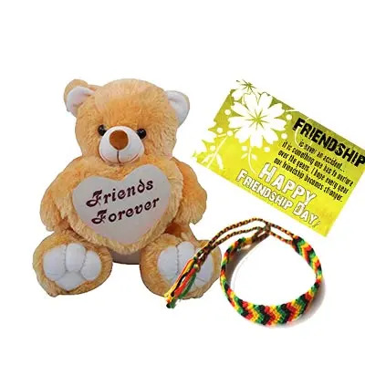 Best Friend Teddy Combo Best Friend Teddy Combo