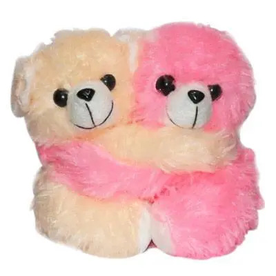 Hugging Teddy Bear