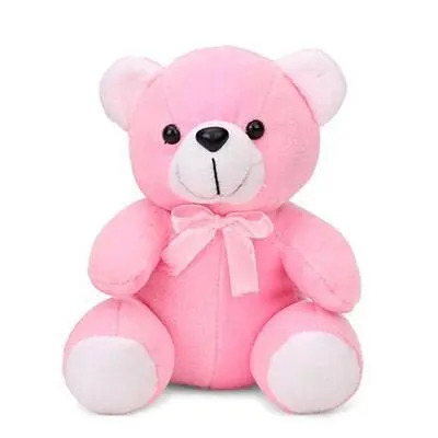 Teddy Bear 12 Inch