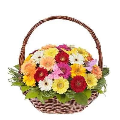 Mixed Gerbera Basket