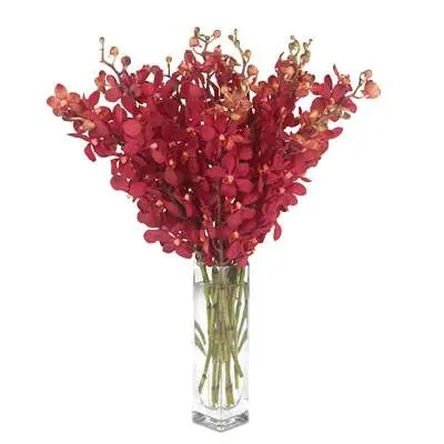 Red Orchid Vase