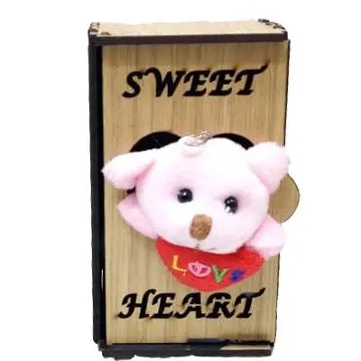 Sweet Heart Teddy in Almirah