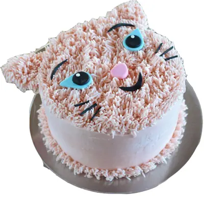 Kitty Birthday Cake